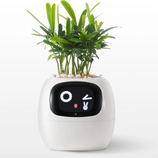 Tuya Ivy Smart Planter